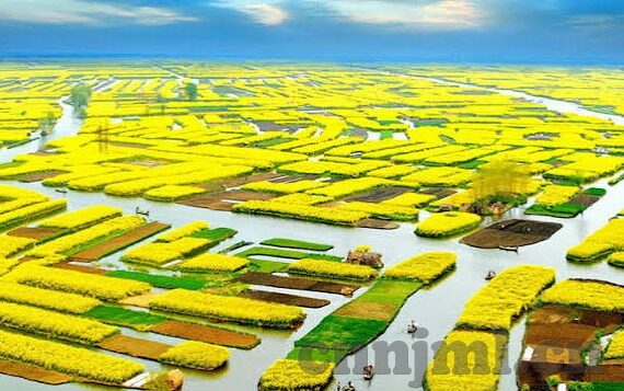 大象传媒视频2022-大象传媒视频2022，重塑娱乐与文化的边界