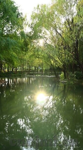 果冻传媒七夕系列-七夕之恋，果冻传媒的浪漫系列