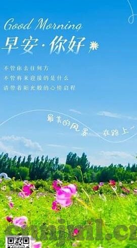 橘子猫糖心vlog-橘子猫与糖心，一窥Vlog背后的趣味生活