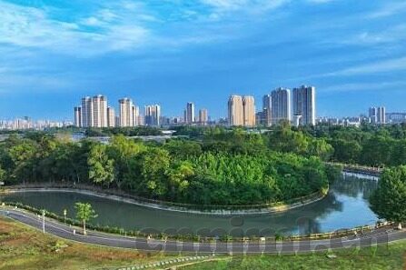 麻豆91免费版-麻豆91免费版，在线视频分享的灰色地带与警示