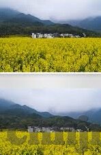 麻豆av在线一区二区三区-麻豆av的三大区域探析